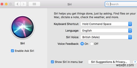 아이폰, 아이패드, 맥, 애플 워치에서 Siri 끄는 방법 완벽 가이드