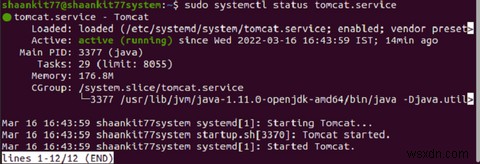 Ubuntu 20.04에 Apache Tomcat 10 설치하는 완벽 가이드
