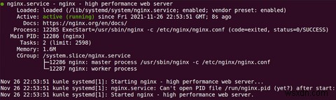 Ubuntu에서 Nginx 설치 및 구성하는 방법 완벽 가이드