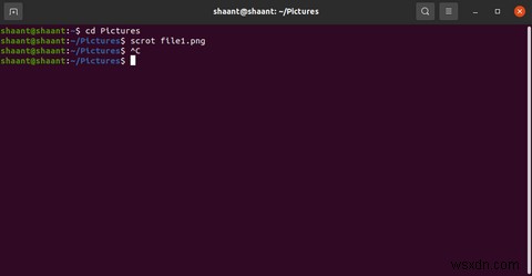 Ubuntu에서 scrot 설치부터 활용까지: 터미널 스크린샷 캡처 완벽 가이드