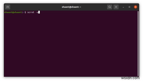 Ubuntu에서 scrot 설치부터 활용까지: 터미널 스크린샷 캡처 완벽 가이드
