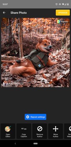 안드로이드·아이폰에서 쓸 수 있는 최고의 인스타그램 리포스트 앱 5선