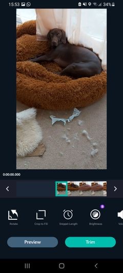 매일 1초씩 기록하는  1SE  앱으로 나만의 인생 영화 만들기