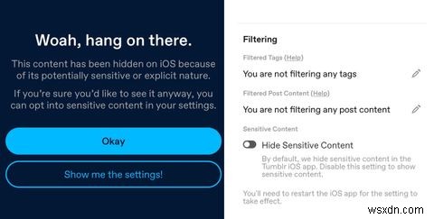 텀블러 iOS 앱, 민감 콘텐츠 토글로 애플 앱스토어 가이드라인 준수와 콘텐츠 접근성 모두 확보