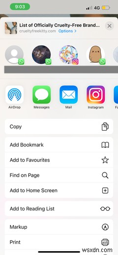 사파리(Safari) 완벽 입문 가이드: 아이폰·아이패드 사용자를 위한 필수 사용법
