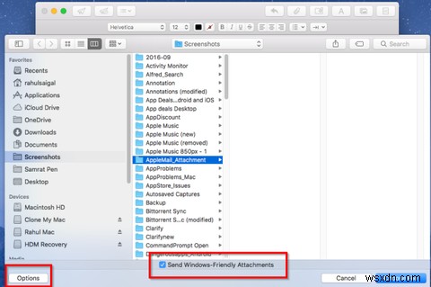 Apple Mail 첨부 파일 오류를 예방하는 4가지 필수 팁
