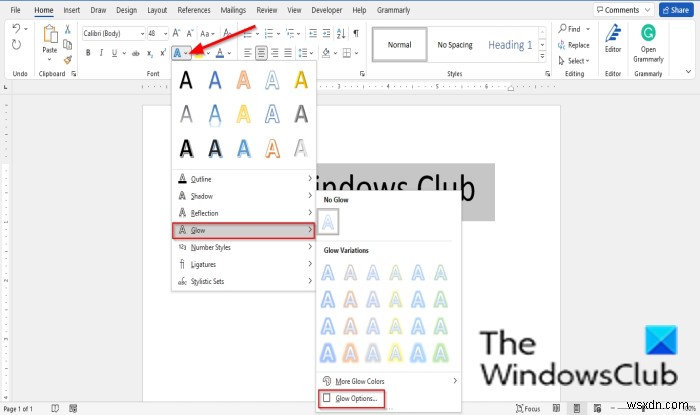 마이크로소프트 워드(MS Word)에서 글꼴을 흐리게 만드는 방법