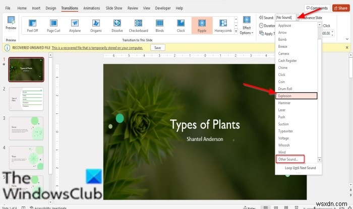 파워포인트(PowerPoint) 슬라이드 전환에 음향 효과 추가하는 방법