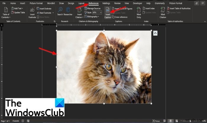 마이크로소프트 워드(Microsoft Word)에서 캡션 삽입하는 방법