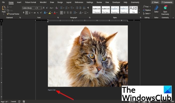 마이크로소프트 워드(Microsoft Word)에서 캡션 삽입하는 방법