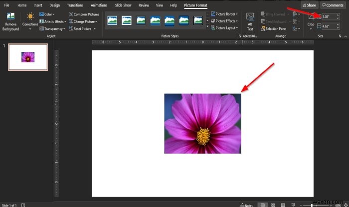 파워포인트(PowerPoint)에서 크기와 위치를 유지하면서 그림 교체하는 방법