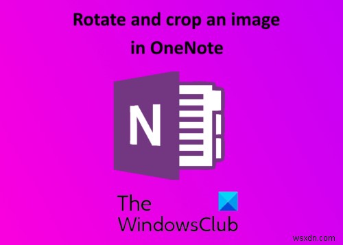 Microsoft OneNote에서 이미지 자르고 회전하는 방법 완벽 가이드
