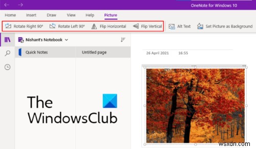 Microsoft OneNote에서 이미지 자르고 회전하는 방법 완벽 가이드