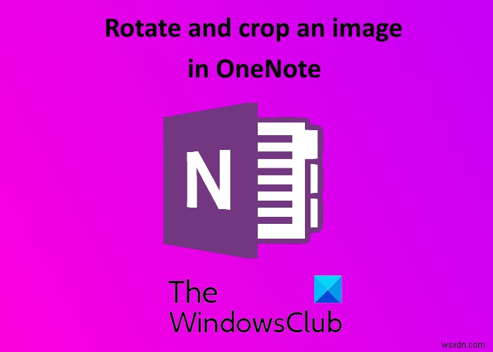 Microsoft OneNote에서 이미지 자르고 회전하는 방법 완벽 가이드