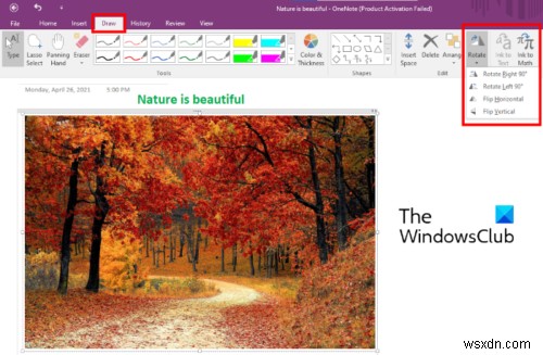 Microsoft OneNote에서 이미지 자르고 회전하는 방법 완벽 가이드