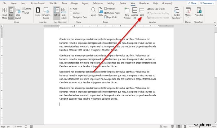 Microsoft Word에서 여러 창을 띄우고 활용하는 완벽 가이드