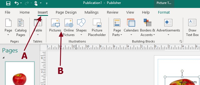 Microsoft Publisher에서 이미지 추가, 이동, 편집하는 방법 완벽 가이드