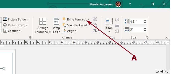 Microsoft Publisher에서 이미지 추가, 이동, 편집하는 방법 완벽 가이드