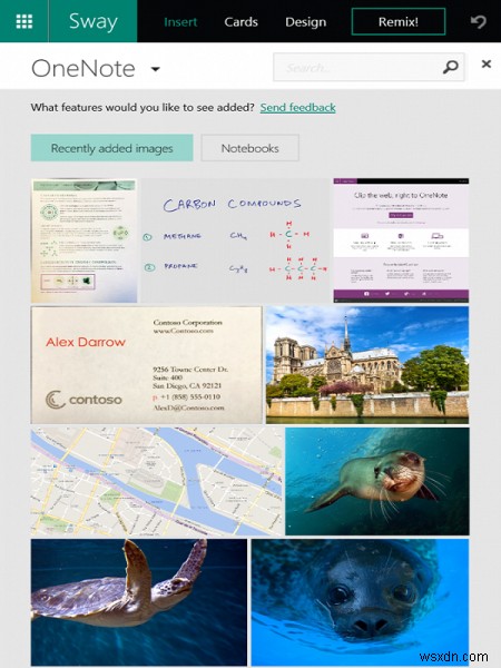 Office Sway 새 기능 완벽 정리: OneNote 이미지 추가부터 웹 삽입, 공유 설정까지