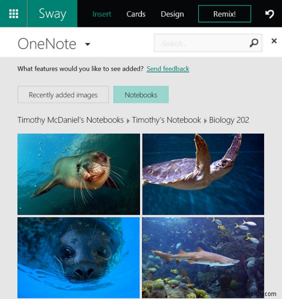 Office Sway 새 기능 완벽 정리: OneNote 이미지 추가부터 웹 삽입, 공유 설정까지