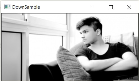 OpenCV pyrDown()으로 이미지 다운샘플링하기