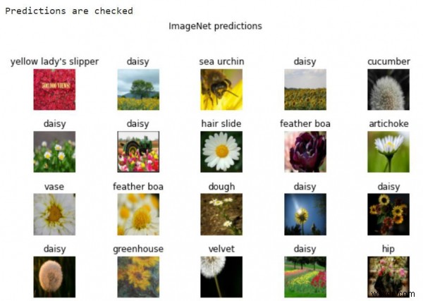 Python과 TensorFlow를 활용해 ImageNet 예측 결과를 확인하고 시각화하는 방법