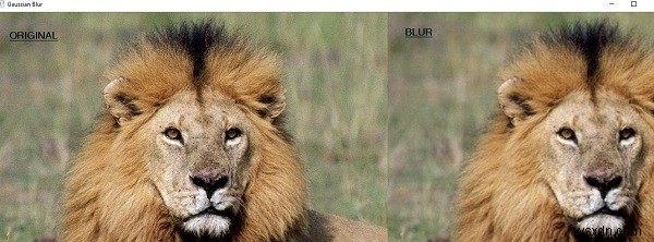 OpenCV Python으로 이미지를 흐리게 만드는 가우시안 블러 프로그램
