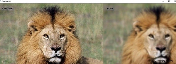 OpenCV Python으로 이미지를 흐리게 만드는 가우시안 블러 프로그램