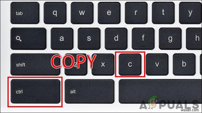 크롬북(Chromebook)에서 복사·붙여넣기 하는 방법 완벽 정리