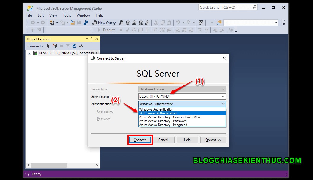 SSMS로 SQL Server에 연결하는 방법 – 초보자를 위한 단계별 가이드