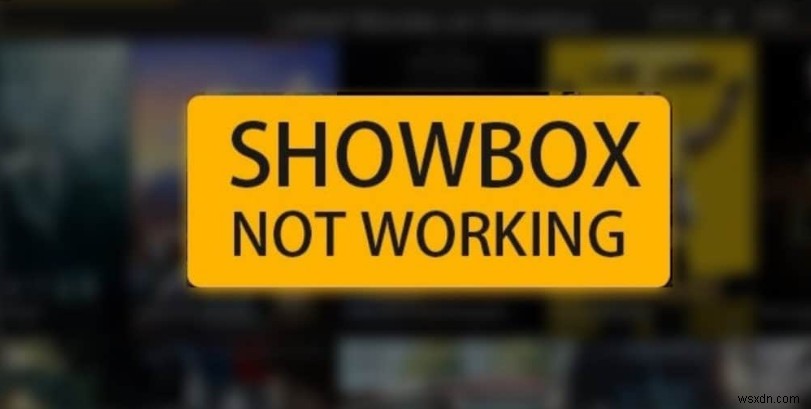 쇼박스(Showbox) 작동 안 함 문제 해결 방법 총정리