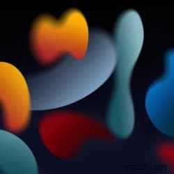 지금 바로 다운로드하세요: iOS 15와 macOS 12 몬터레이 공식 배경화면