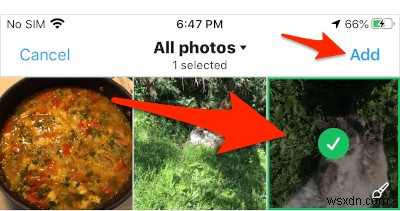 iOS 라이브 포토(Live Photo)를 트위터에서 애니메이션 GIF로 올리는 방법