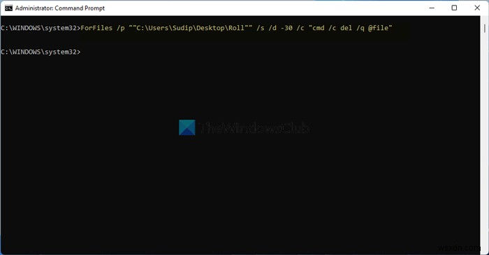 Windows 11/10에서 X일 지난 파일 삭제하는 방법 (저장소 센스 & ForFiles)