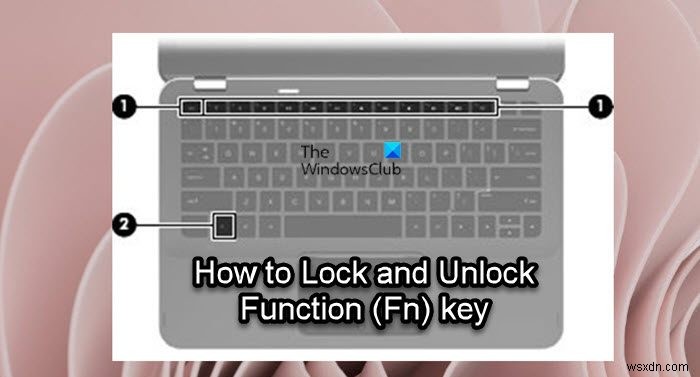Windows 11/10에서 기능(Fn) 키 잠금 및 잠금 해제하는 방법