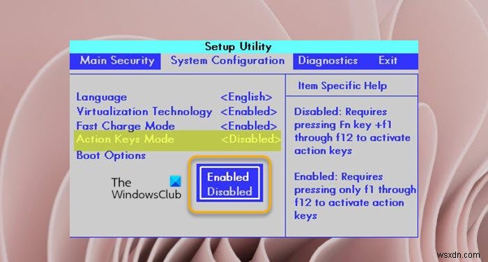 Windows 11/10에서 기능(Fn) 키 잠금 및 잠금 해제하는 방법