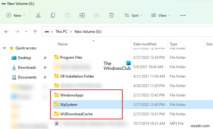 WpSystem 폴더란 무엇일까요? 삭제해도 안전할까요?