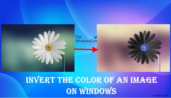 Windows PC에서 이미지 색상 반전시키는 방법 총정리