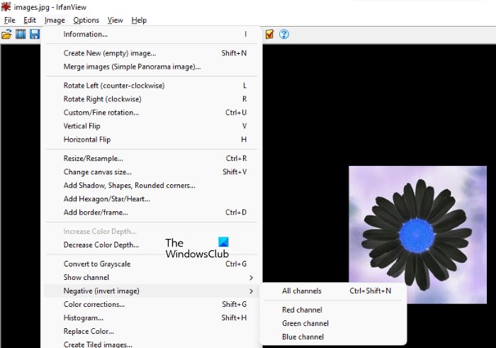 Windows PC에서 이미지 색상 반전시키는 방법 총정리