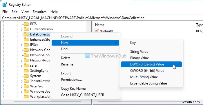 Windows 11/10에서 진단 로그 수집 제한하는 방법 (레지스트리·그룹 정책 편집기)