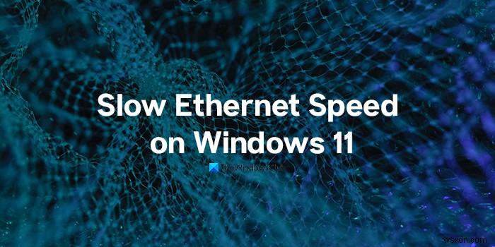 Windows 11/10에서 느린 이더넷 속도를 해결하는 5가지 방법