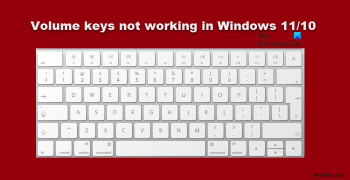 Windows 11/10 키보드 볼륨 키 작동 안 함 문제 해결 방법