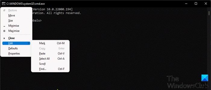 Windows 11/10 명령 프롬프트에서 Ctrl+C, Ctrl+V 복사·붙여넣기 활성화하는 방법