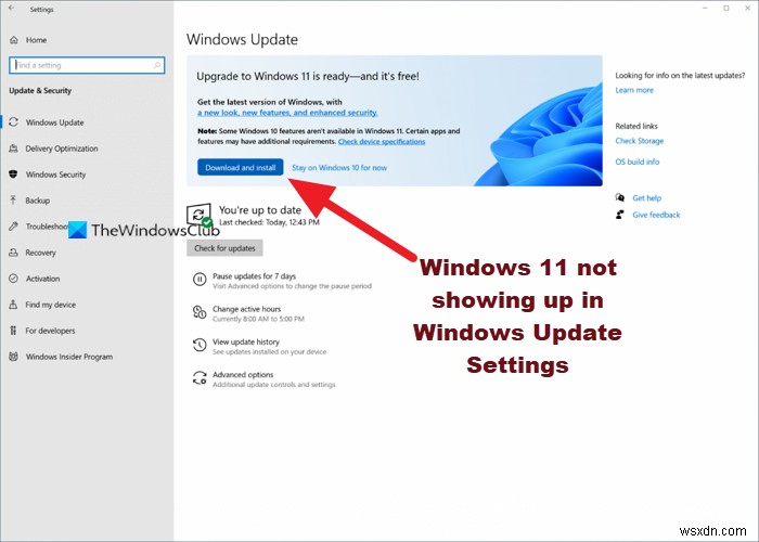 Windows 업데이트 설정에 Windows 11이 표시되지 않을 때 해결 방법