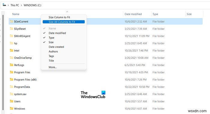 Windows 11/10에서 파일 탐색기 열 너비를 변경하는 4가지 방법
