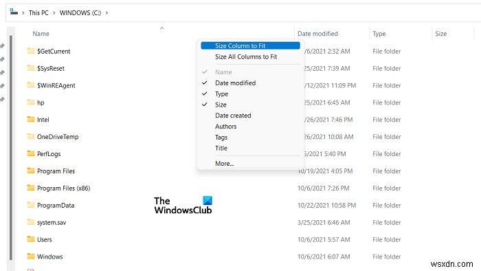 Windows 11/10에서 파일 탐색기 열 너비를 변경하는 4가지 방법
