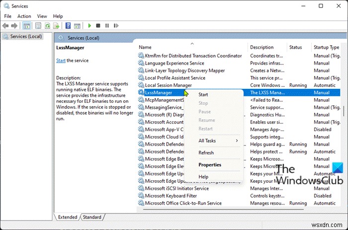 Windows 11 크롬에서  Localhost에서 연결을 거부했습니다  오류 해결 방법