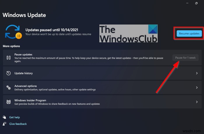 Windows 11 수동 업데이트 방법: 최신 업데이트 확인부터 설치까지 한 번에 정리