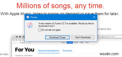 Windows 11/10 iTunes에서 iPhone·iPad가 인식되지 않을 때 해결하는 5가지 방법