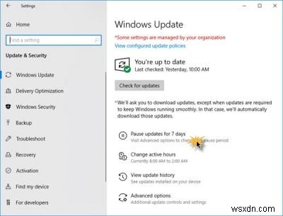 Windows 11/10에서 Windows 업데이트를 수동으로 다운로드하고 설치하는 완벽 가이드